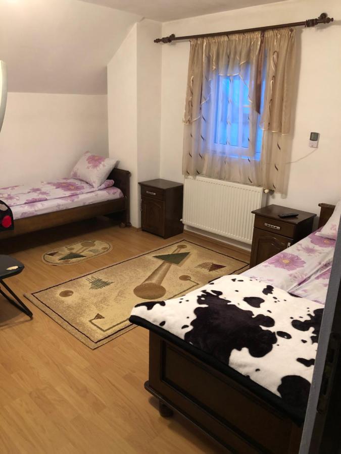 Pensiunea Morosanu Borsa  Kültér fotó